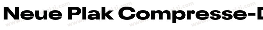Neue Plak Compresse字体转换